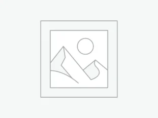 Fresh Grocery Essentials